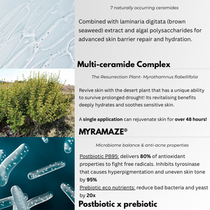 EXOSOME AMPOULE
