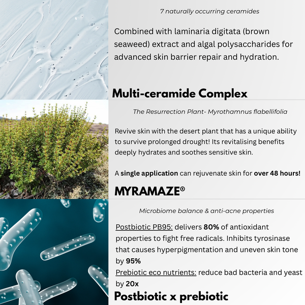 EXOSOME AMPOULE