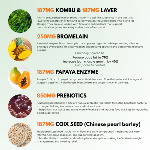 3DETOX
