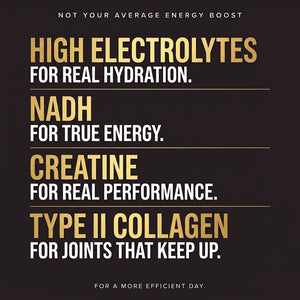 ZING Pure Energy, Joint Health and Muscle Support  NADH|Creatine|Joint Collagen